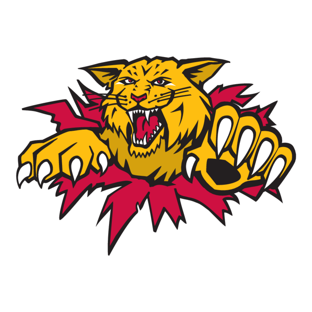 Moncton,Wildcats