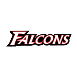 Atlanta Falcons(166) Logo