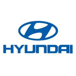 Hyundai Motor Company(231)