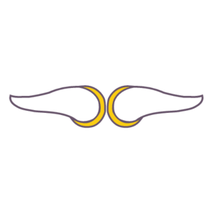 Minnesota Vikings(252) Logo