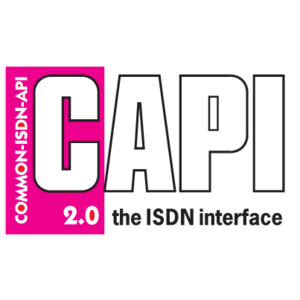 CAPI Logo