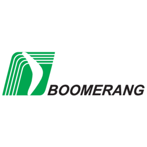 Boomerang Logo