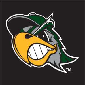 South Bend Silver Hawks(115) Logo