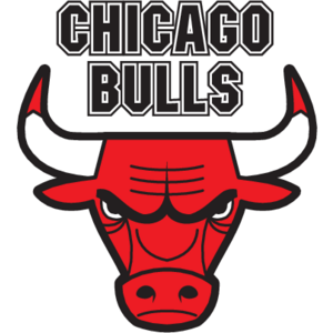 Chicago Bulls(300) Logo