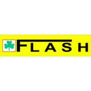 Flash Logo