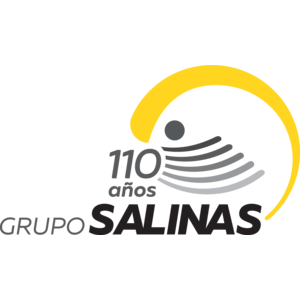 Grupo Salinas Logo