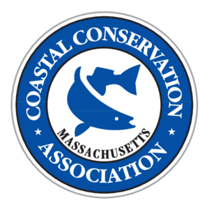 CCA(27) Logo