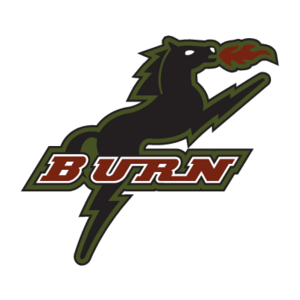 Burn Logo