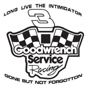 Goodwrench Service Racing(146)