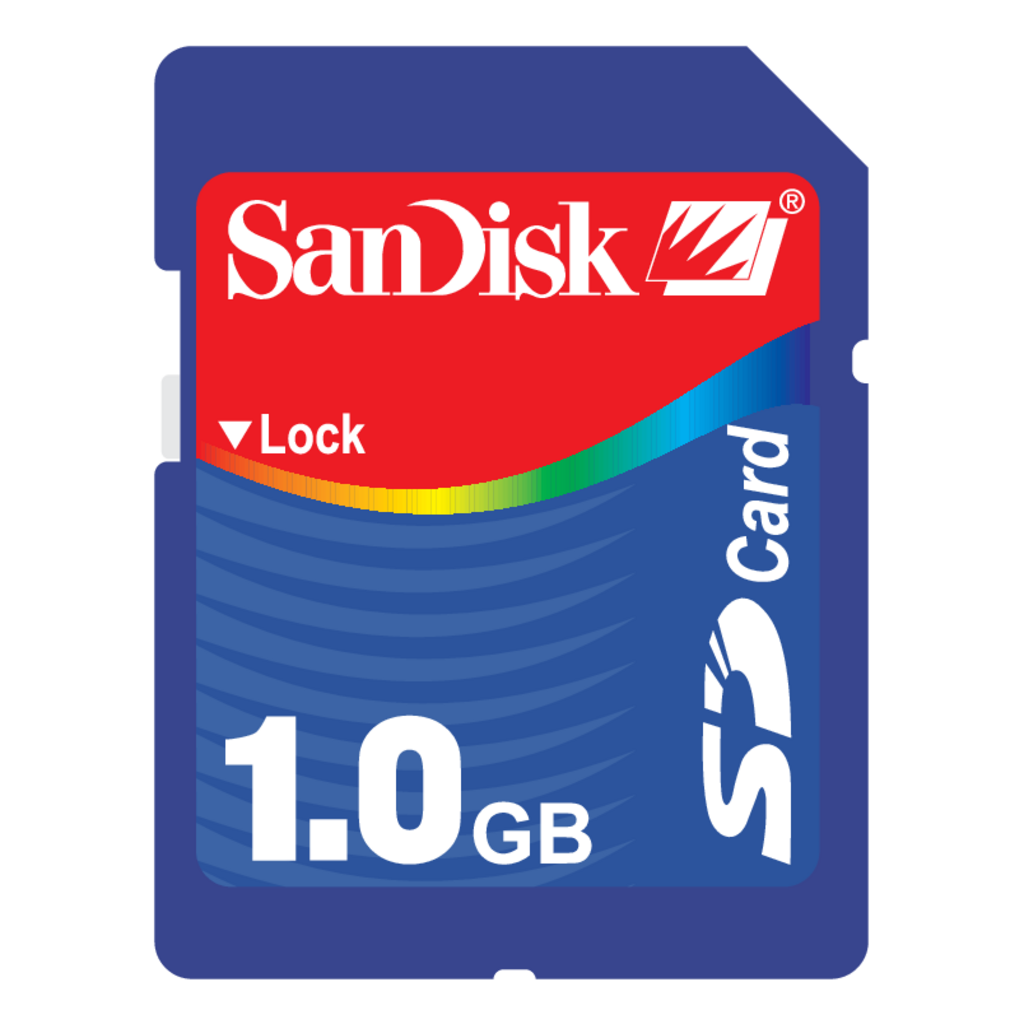 Sandisk(169)