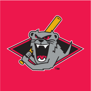 Jamestown Jammers(39) Logo