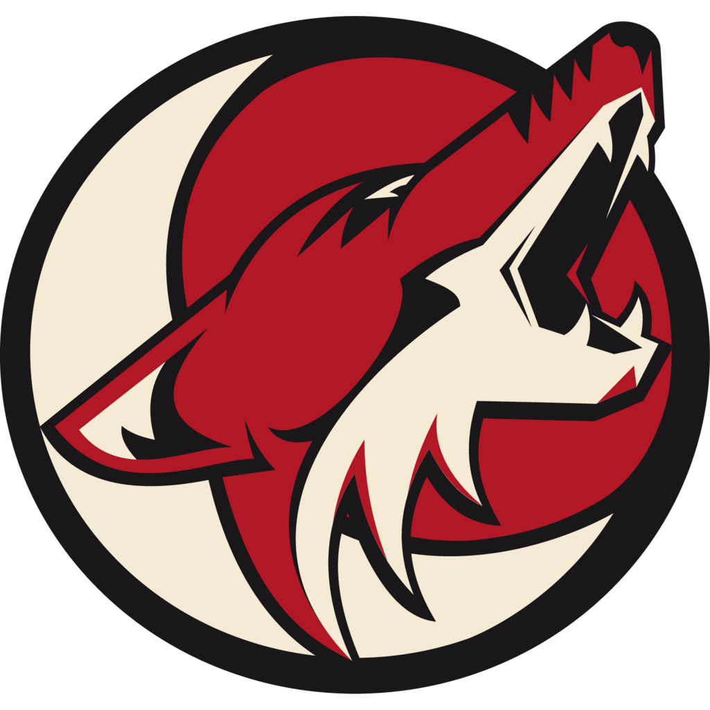 Coyotes Saltillo Hockey, Game, Goal 