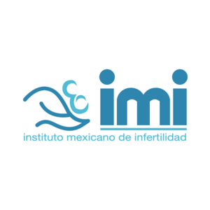 IMI Logo