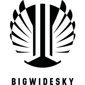 Bigwidesky Logo