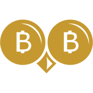 Bitcoin Owl Logo