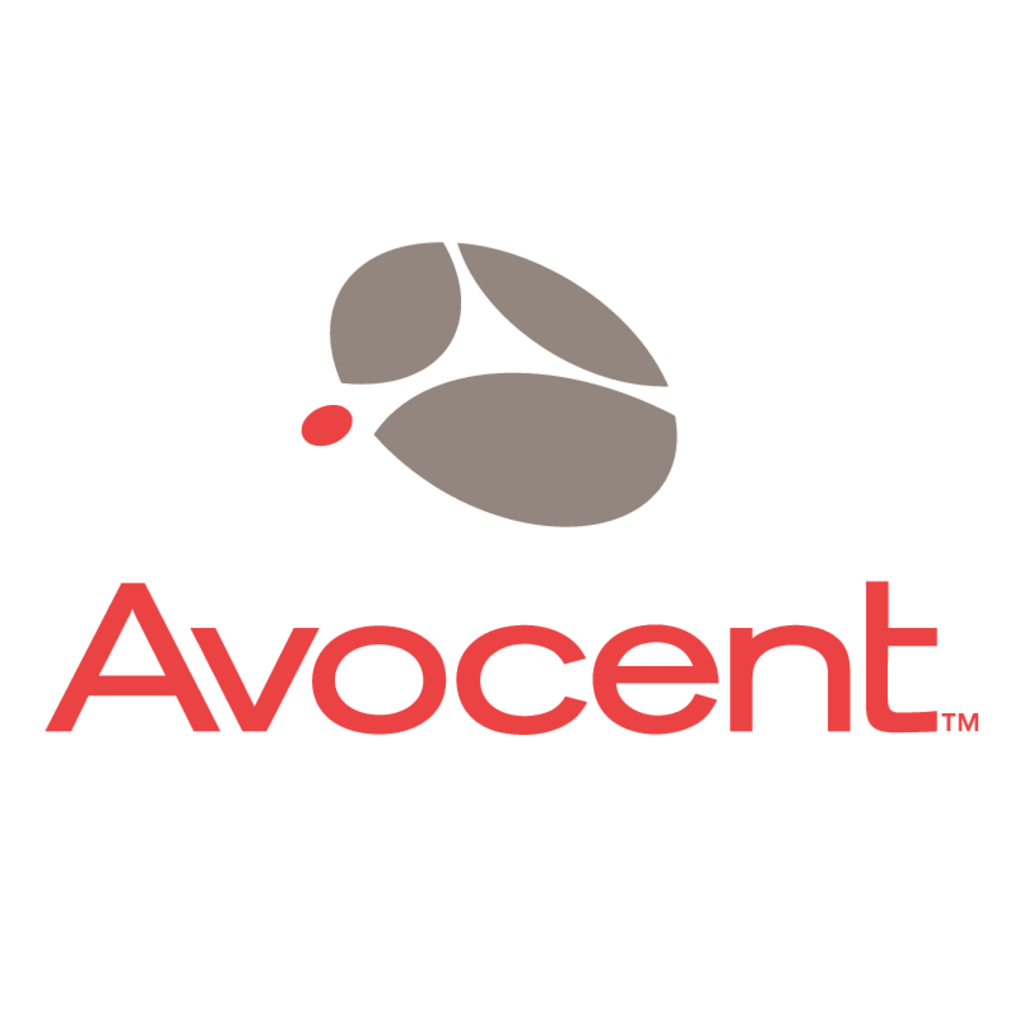 Avocent(406)