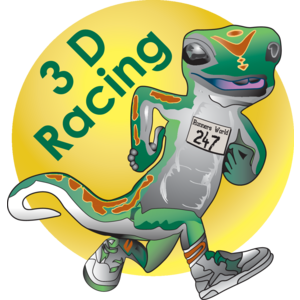 3D Racing Logo