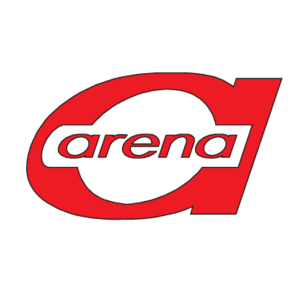 Arena(357) Logo