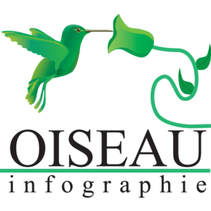 Oiseau Infographie Logo