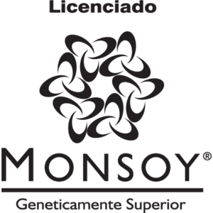 Licenciado Monsoy Logo