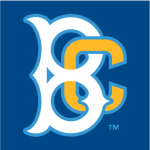 Brooklyn Cyclones(256) Logo