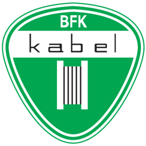 BFK Kabel Logo