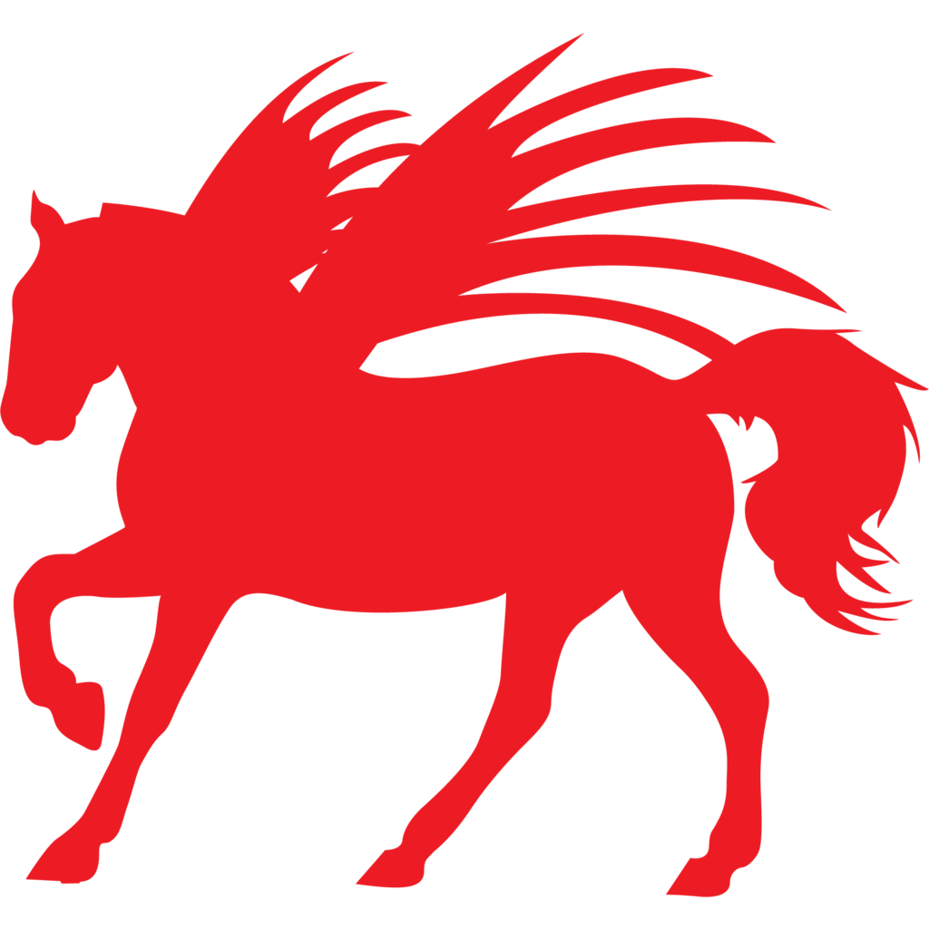 STR, Design