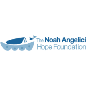 The Noah Angelici Hope Foundation Logo
