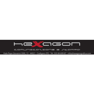 Hexagon Logo