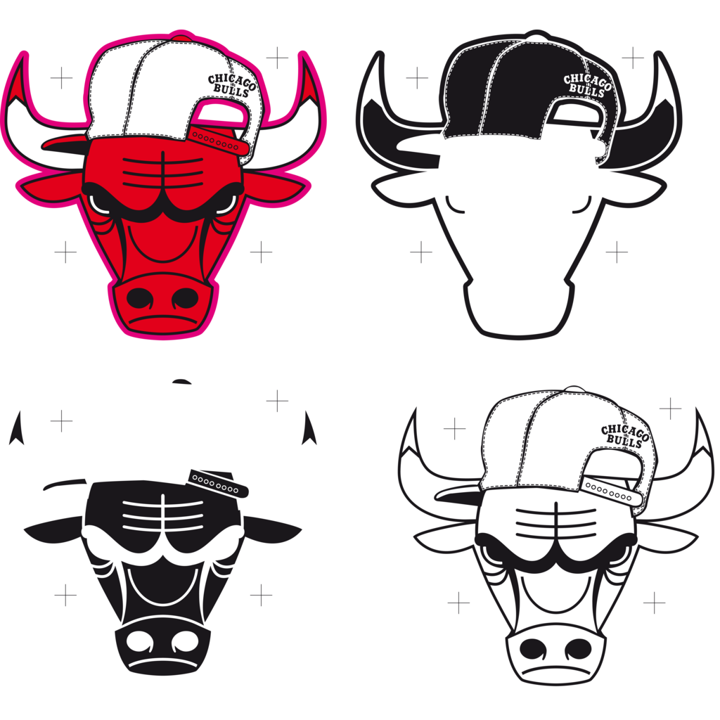 chicago bull  nba