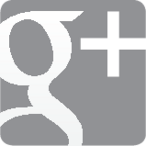 Google+ grey Logo