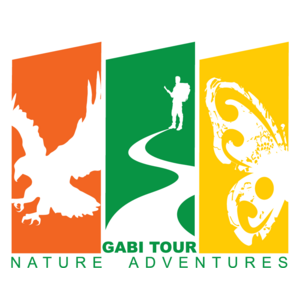 Gabi Tour Logo