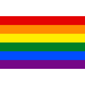 Gay Flag Logo