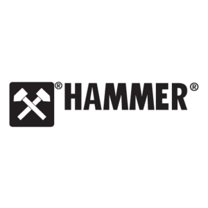 Hammer(41) Logo