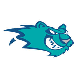 Worcester IceCats Logo