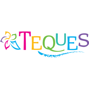 Teques Logo
