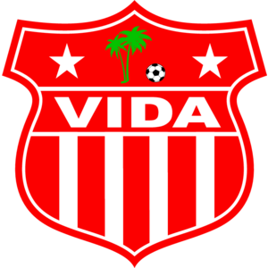 Vida Logo