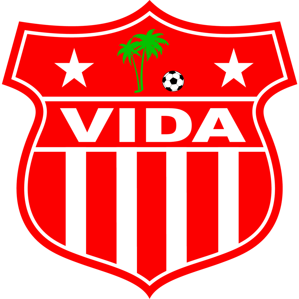 vida logo