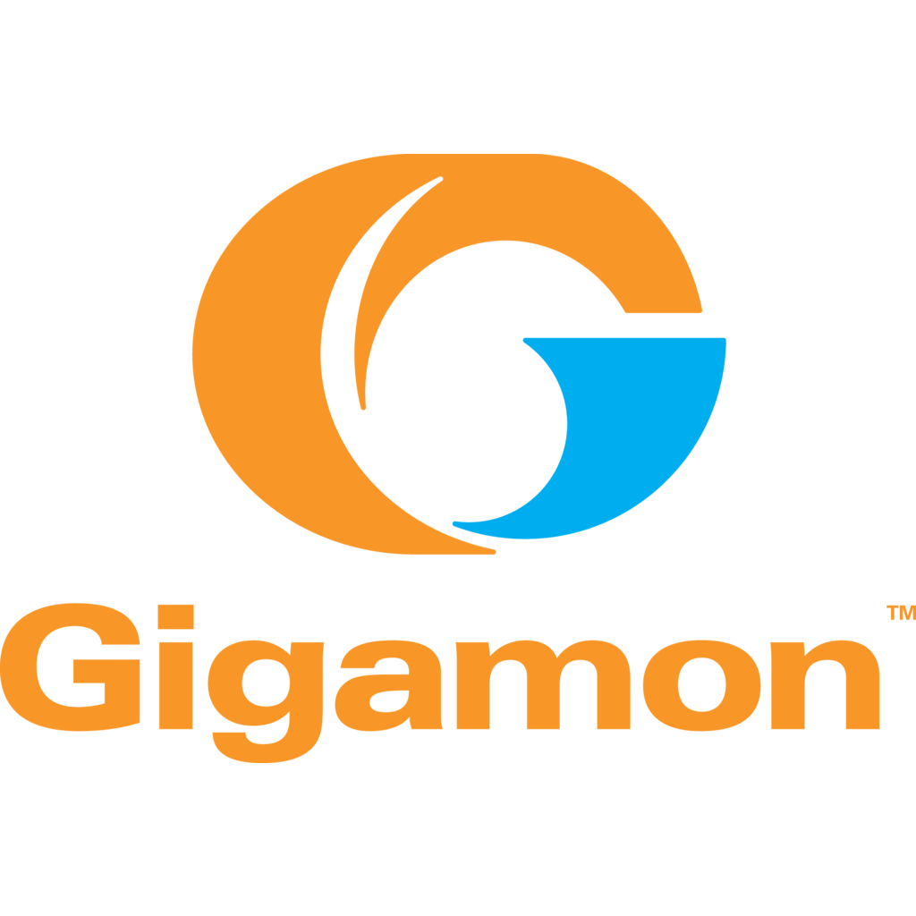 Gigamon