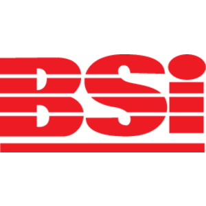 ISO BSI Registered Firm Logo