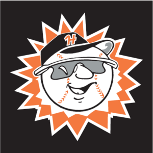 Hagerstown Suns(12) Logo