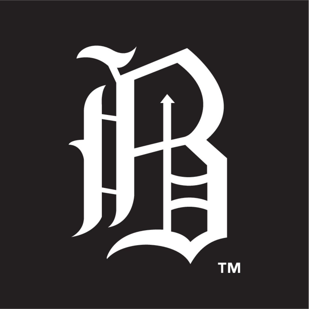 Birmingham,Barons(254)