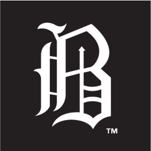 Birmingham Barons(254) Logo