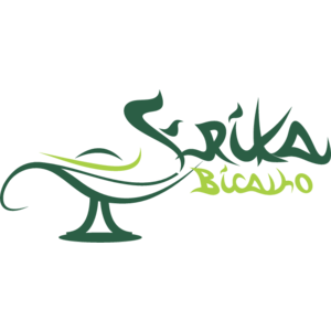 Erika Bicalho Logo