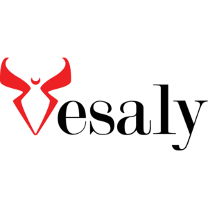 Vesaly Logo