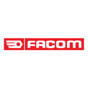 Facom(21) Logo