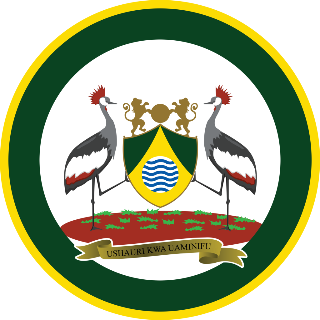 Government