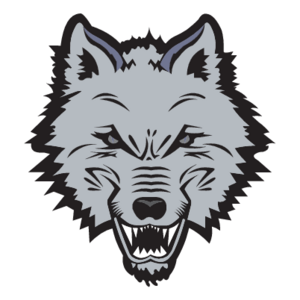 New England Sea Wolves(167) Logo