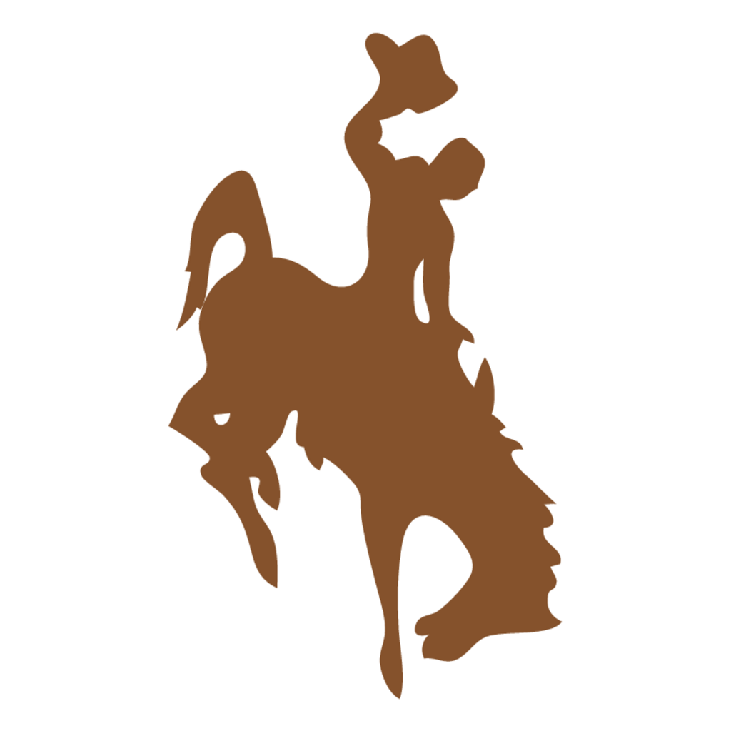 Wyoming,Cowboys
