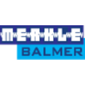 Merkle Balmer Logo